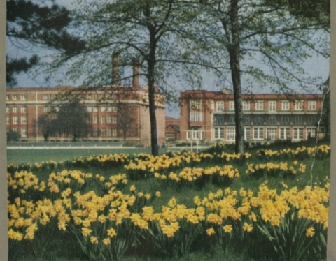 The home of chocolate